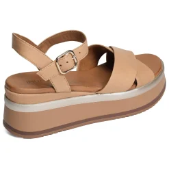 A98008 Camel