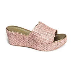 ACACIA Rose
