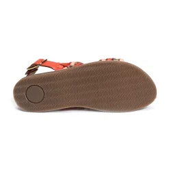 ANSB510 Rouge