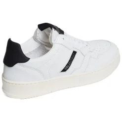 APOLLO Blanc Noir