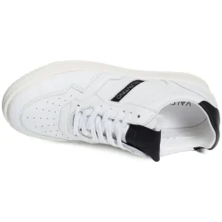 APOLLO Blanc Noir