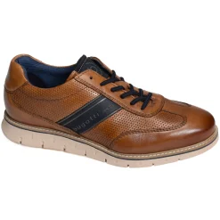 ARY01 Cognac