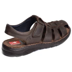 AZORES F2198 Marron