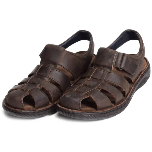 AZORES F2198 Marron