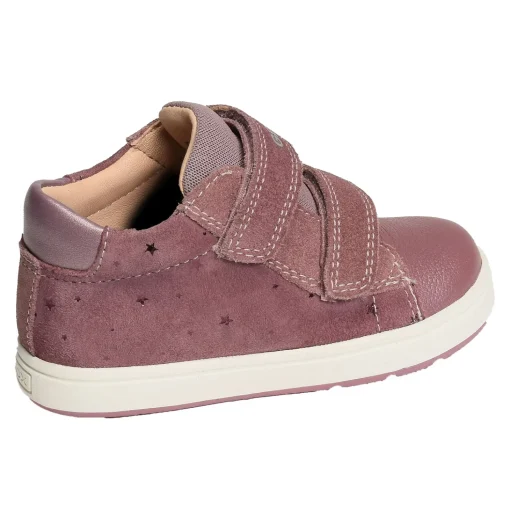 B BIGLIA GC Rose