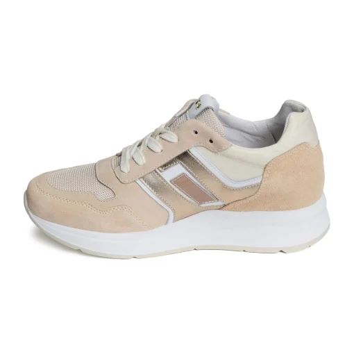 06453 Beige