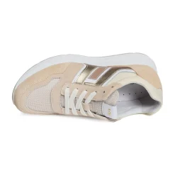 06453 Beige