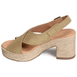 2504 Beige Or
