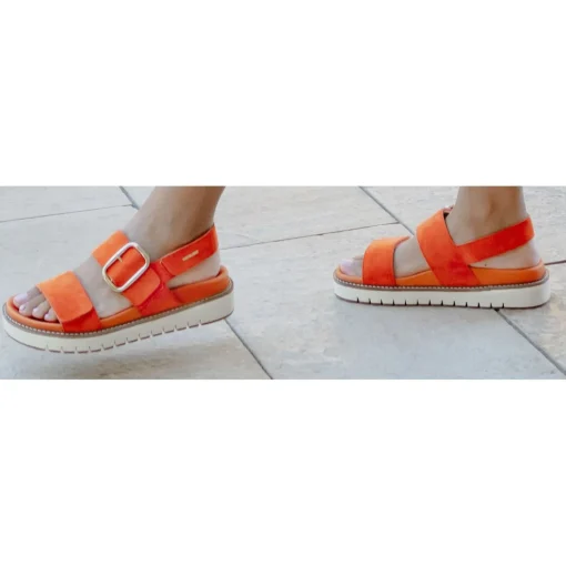 BELONA Orange