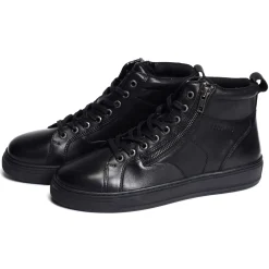 BILLE Noir