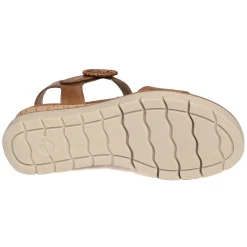 28258 BIS Cognac
