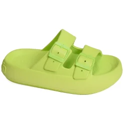 BLOOMER BIO Vert Anis