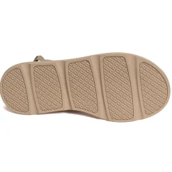 2603 Bronze