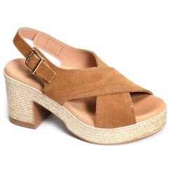 2504 Camel