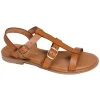 11616 Camel