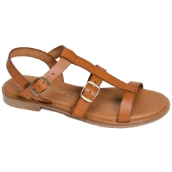 11616 Camel