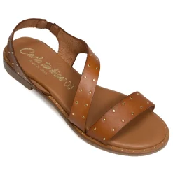 11615 Camel