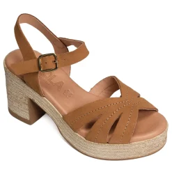 2506 Camel