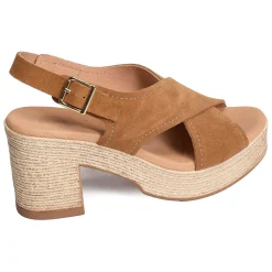 2504 Camel