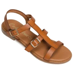 11616 Camel