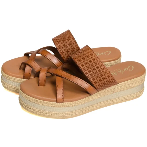 15410 Camel
