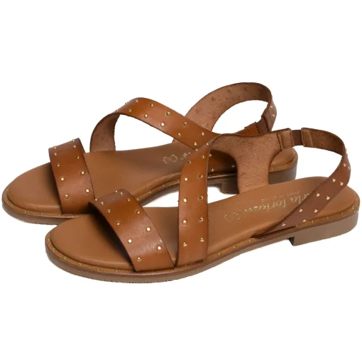 11615 Camel