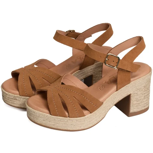 2506 Camel