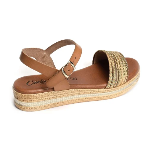 14386 Camel