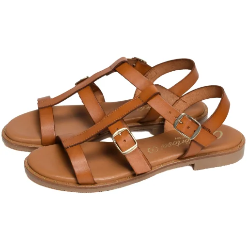 11616 Camel