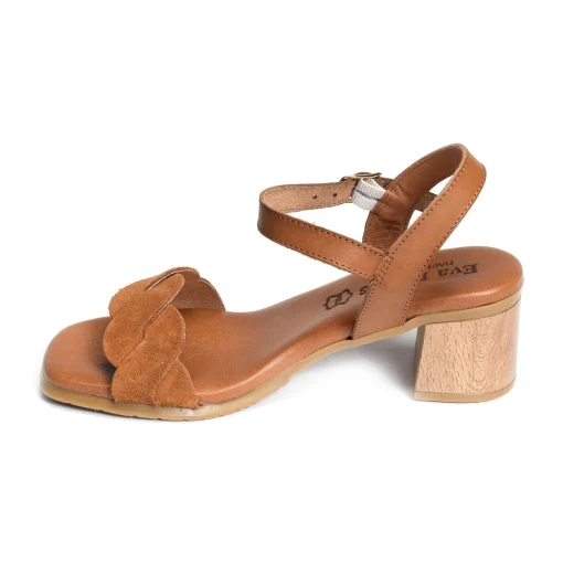 3439 Camel