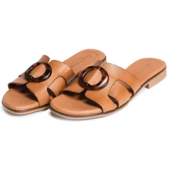 3064 Camel