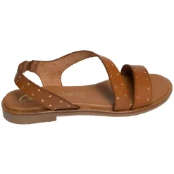 11615 Camel
