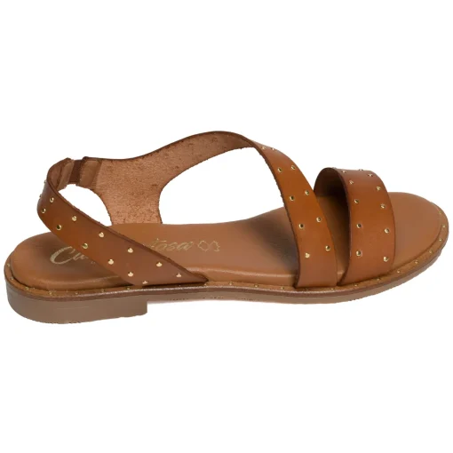 11615 Camel