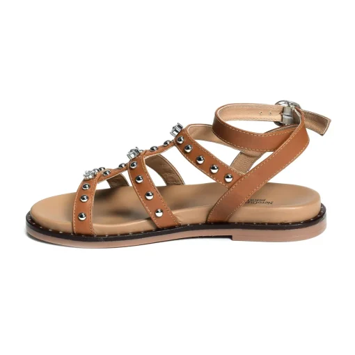 15521 Camel
