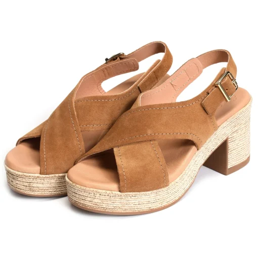 2504 Camel