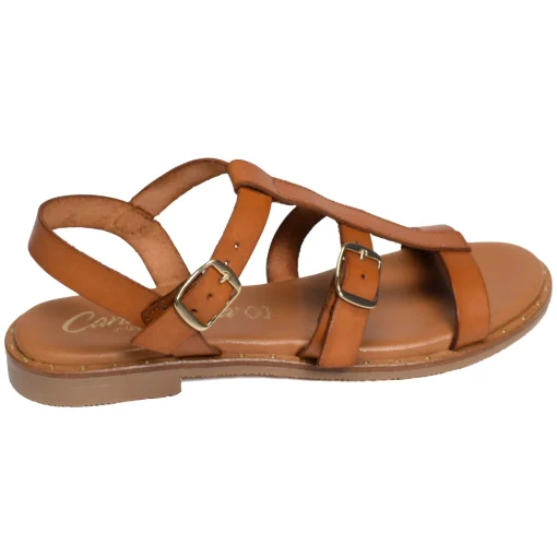11616 Camel