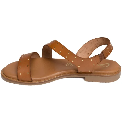 11615 Camel