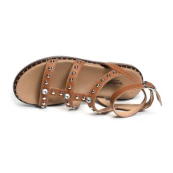 15521 Camel