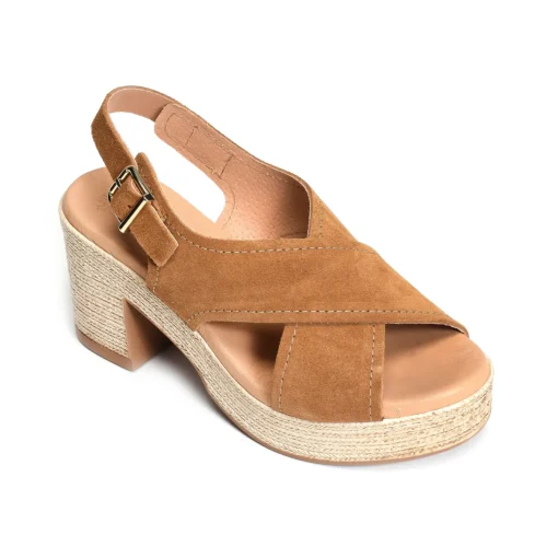 2504 Camel