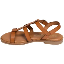 11616 Camel