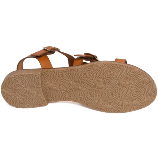 11616 Camel
