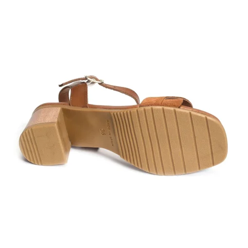3439 Camel