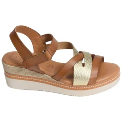 548 Camel Or