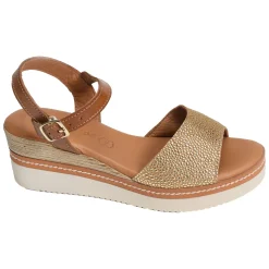 569 Camel Or