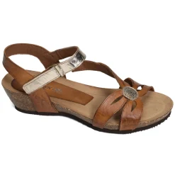 2119 Camel Or