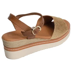 569 Camel Or