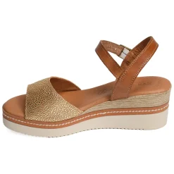 569 Camel Or