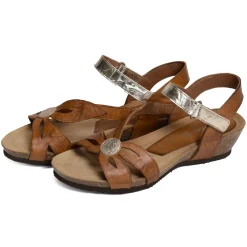 2119 Camel Or