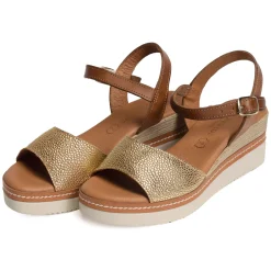 569 Camel Or