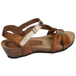 2119 Camel Or